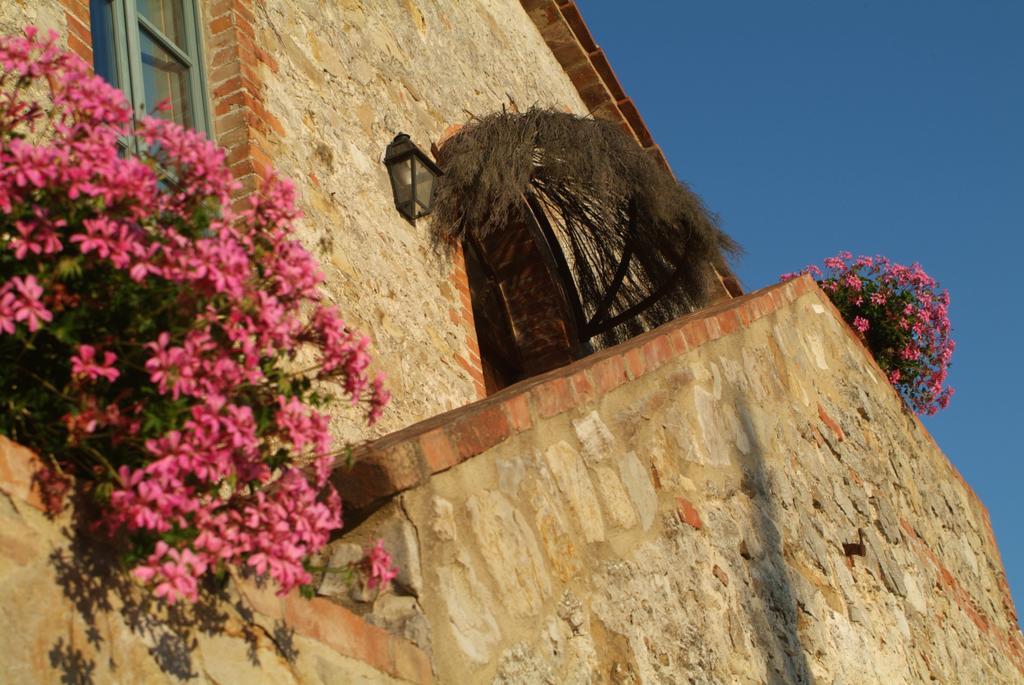Agriturismo Podere Alberese Asciano Eksteriør billede