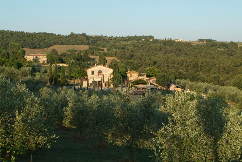 Agriturismo Podere Alberese Asciano Eksteriør billede